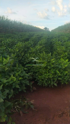 Imagem Fazenda à Venda, 623 m² em Carneirinho Imagem Fazenda à Venda, 623 m² em Carneirinho