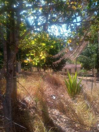 Imóvel com 2 Quartos à Venda, 70 m² em Zona Rural - Pirenópolis