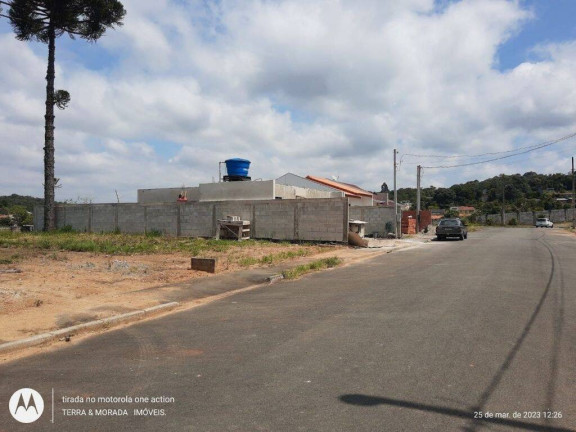 Imagem Terreno em Condomínio à Venda, 220 m² em São Dimas - Colombo Imagem Terreno em Condomínio à Venda, 220 m² em São Dimas - Colombo