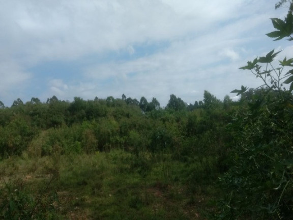 Imagem Terreno à Venda, 55.000 m² em Colônia (zona Leste) - São Paulo Imagem Terreno à Venda, 55.000 m² em Colônia (zona Leste) - São Paulo