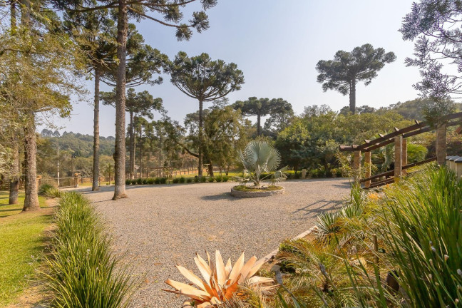Imagem Imóvel com 4 Quartos à Venda, 37.906 m² em Ouro Verde - Campo Largo