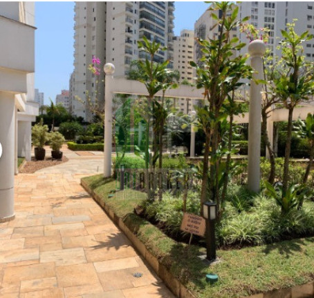 Imagem Apartamento com 3 Quartos à Venda, 156 m² em Vila Mariana - São Paulo Imagem Apartamento com 3 Quartos à Venda, 156 m² em Vila Mariana - São Paulo