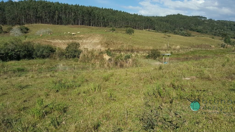 Imagem Terreno à Venda, 450.000 m² em Zona Rural - Bom Retiro Imagem Terreno à Venda, 450.000 m² em Zona Rural - Bom Retiro