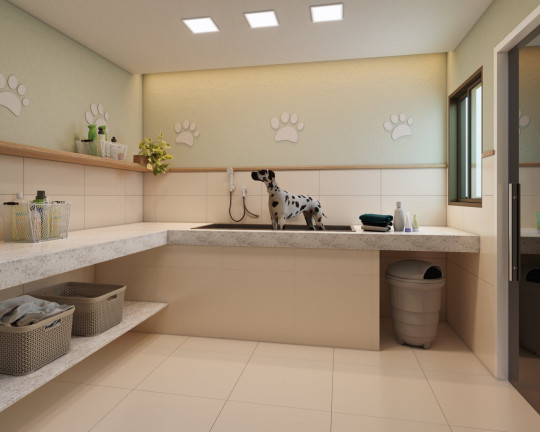 Imagem Apartamento com 3 Quartos à Venda, 71 m² em Várzea - Recife Imagem Apartamento com 3 Quartos à Venda, 71 m² em Várzea - Recife