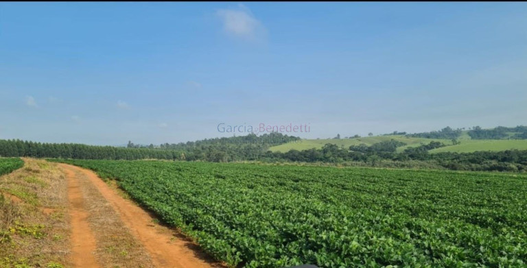 Imagem Imóvel à Venda, 895.400 m² em Vale San Fernando - Itapetininga Imagem Imóvel à Venda, 895.400 m² em Vale San Fernando - Itapetininga