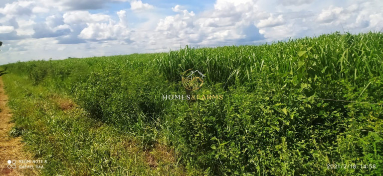 Imagem Imóvel com 3 Quartos à Venda, 423 m² em Zona Rural - Turvelândia Imagem Imóvel com 3 Quartos à Venda, 423 m² em Zona Rural - Turvelândia