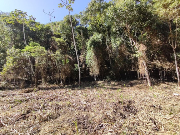 Imagem Terreno à Venda, 4.050 m² em Albuquerque - Teresópolis Imagem Terreno à Venda, 4.050 m² em Albuquerque - Teresópolis