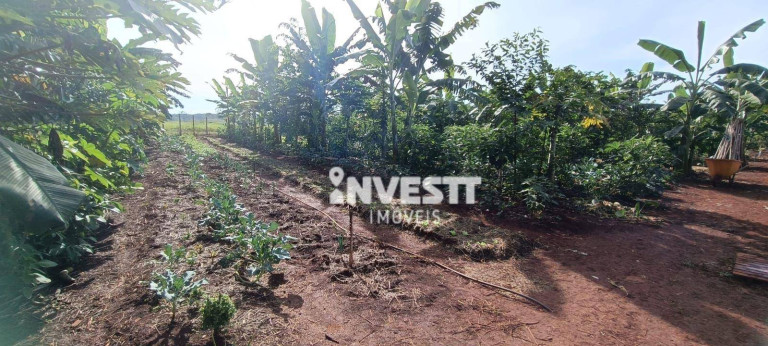 Imagem Chácara com 1 Quarto à Venda, 2.390 m² em Florata Condomínio Florestal - Santo Antônio De Goiás Imagem Chácara com 1 Quarto à Venda, 2.390 m² em Florata Condomínio Florestal - Santo Antônio De Goiás