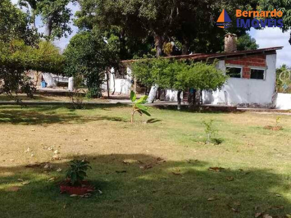 Imagem Chácara com 4 Quartos à Venda, 350 m² em Pedro De Souza - Cascavel
