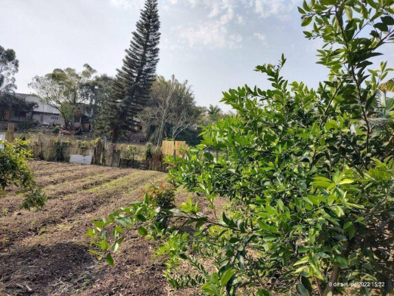 Imagem Terreno à Venda, 1 m² em São João - Itajaí Imagem Terreno à Venda, 1 m² em São João - Itajaí