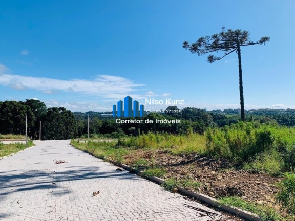 Imagem Terreno à Venda, 390 m² em Faria Lemos - Bento Gonçalves Imagem Terreno à Venda, 390 m² em Faria Lemos - Bento Gonçalves