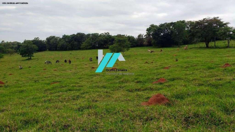 Imagem Terreno à Venda, 130.000 m² em Zona Rural - Carmópolis De Minas Imagem Terreno à Venda, 130.000 m² em Zona Rural - Carmópolis De Minas