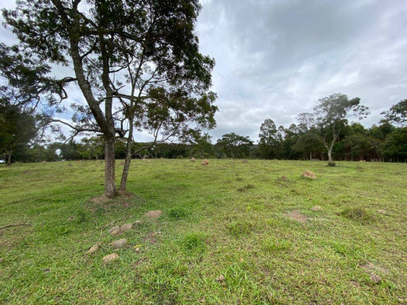 Imagem Terreno à Venda, 8 m² em Centro - Itatiaiuçu Imagem Terreno à Venda, 8 m² em Centro - Itatiaiuçu