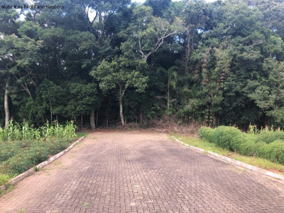 Imagem Terreno à Venda, 360 m² em Br 116 - Nova Petrópolis Imagem Terreno à Venda, 360 m² em Br 116 - Nova Petrópolis