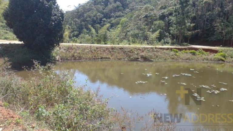 Imóvel com 1 Quarto à Venda, 20.000 m² em Marechal Floriano - Marechal Floriano