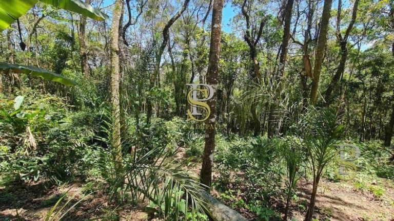 Imagem Terreno à Venda, 1.000 m² em Mato Dentro - Mairiporã Imagem Terreno à Venda, 1.000 m² em Mato Dentro - Mairiporã