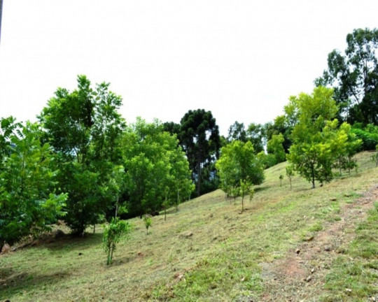 Imagem Imóvel à Venda, em Linha Imperial - Nova Petrópolis Imagem Imóvel à Venda, em Linha Imperial - Nova Petrópolis