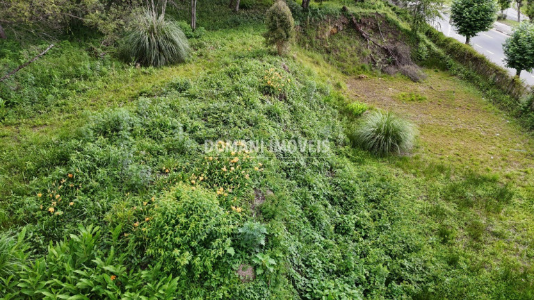 Imagem Terreno à Venda, 2.540 m² em Região De Capivari - Campos Do Jordão Imagem Terreno à Venda, 2.540 m² em Região De Capivari - Campos Do Jordão