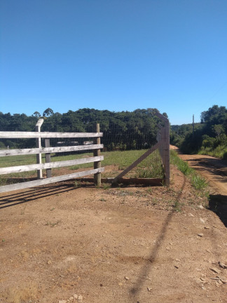 Imagem Imóvel com 2 Quartos à Venda, 28.600 m² em Passo Da Areia - Viamão