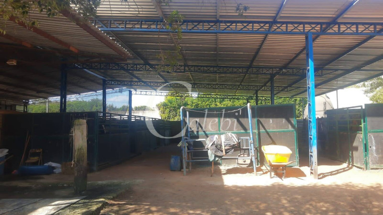 Imagem Chácara com 5 Quartos à Venda, 3 m² em Varginha - Santo Antônio De Posse