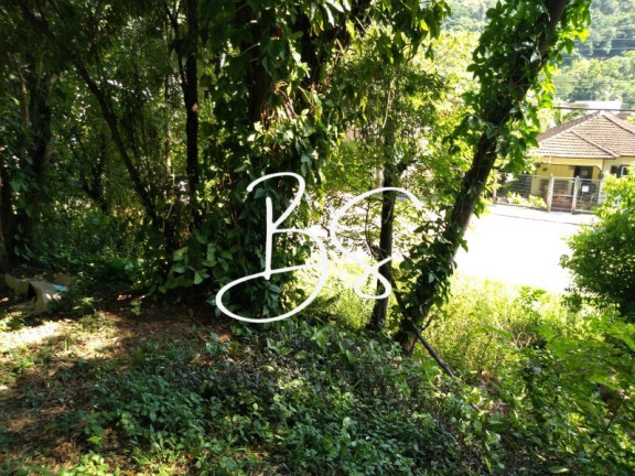 Imagem Terreno à Venda, 1.040 m² em Linha 28 - Três Coroas Imagem Terreno à Venda, 1.040 m² em Linha 28 - Três Coroas
