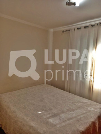 Imagem Apartamento com 3 Quartos à Venda, 64 m² em Vila Guilherme - São Paulo