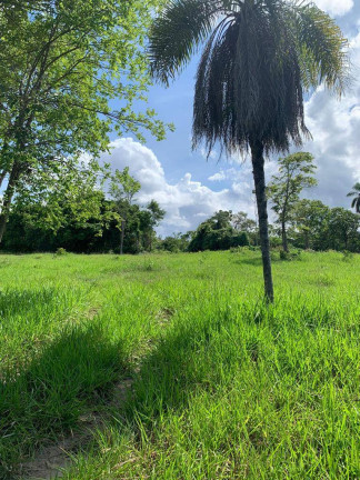 Imagem Fazenda à Venda, 22 m² em Zona Rural - Palmeiras De Goiás Imagem Fazenda à Venda, 22 m² em Zona Rural - Palmeiras De Goiás