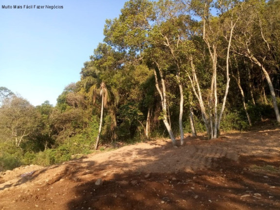 Imagem Terreno à Venda, 2.203 m² em Pousada Da Neve - Nova Petrópolis Imagem Terreno à Venda, 2.203 m² em Pousada Da Neve - Nova Petrópolis