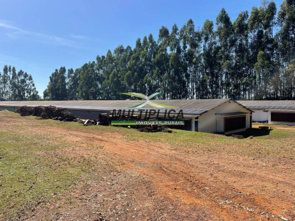 Imagem Fazenda à Venda, 38 m² em Uberaba Imagem Fazenda à Venda, 38 m² em Uberaba