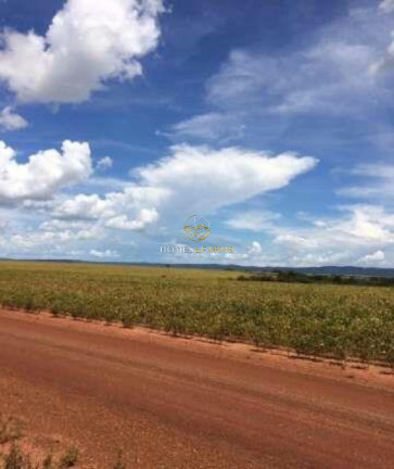 Imagem Imóvel com 4 Quartos à Venda, 103.000 m² em Zona Rural - Porto Alegre Do Norte Imagem Imóvel com 4 Quartos à Venda, 103.000 m² em Zona Rural - Porto Alegre Do Norte