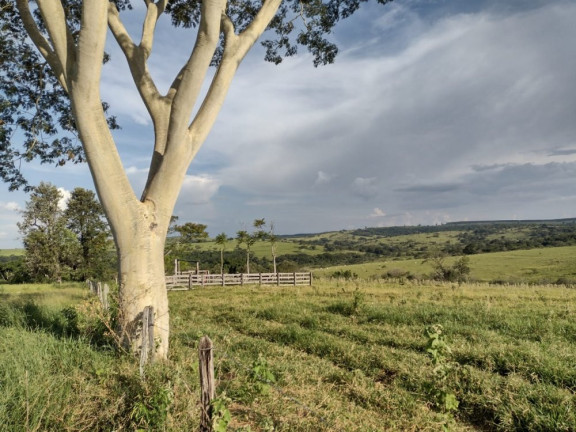 Imagem Imóvel à Venda, 10 m² em área Rural De Avaí - Avaí Imagem Imóvel à Venda, 10 m² em área Rural De Avaí - Avaí