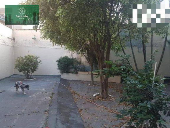 Imagem Sobrado com 5 Quartos à Venda, 342 m² em Vila Fiuza - Guarulhos Imagem Sobrado com 5 Quartos à Venda, 342 m² em Vila Fiuza - Guarulhos