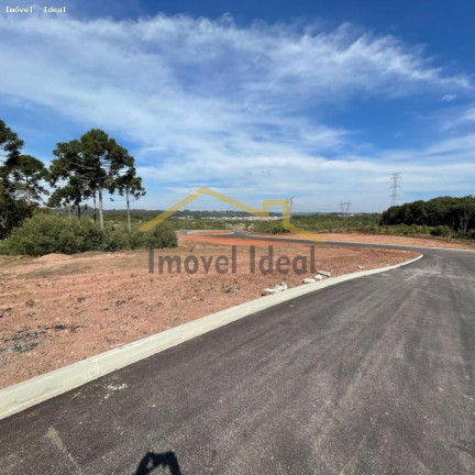 Imagem Terreno à Venda, 230 m² em Costeira - Araucária