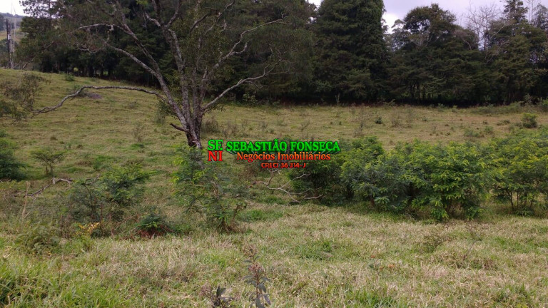 Imagem Chácara à Venda, 5.000 m² em São Francisco Xavier - São José Dos Campos Imagem Chácara à Venda, 5.000 m² em São Francisco Xavier - São José Dos Campos