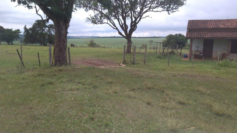 Imagem Fazenda à Venda, 42 m² em Rural - Avaré Imagem Fazenda à Venda, 42 m² em Rural - Avaré