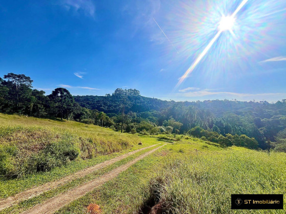 Imagem Terreno à Venda, 48.000 m² em Terra Preta (terra Preta) - Mairiporã