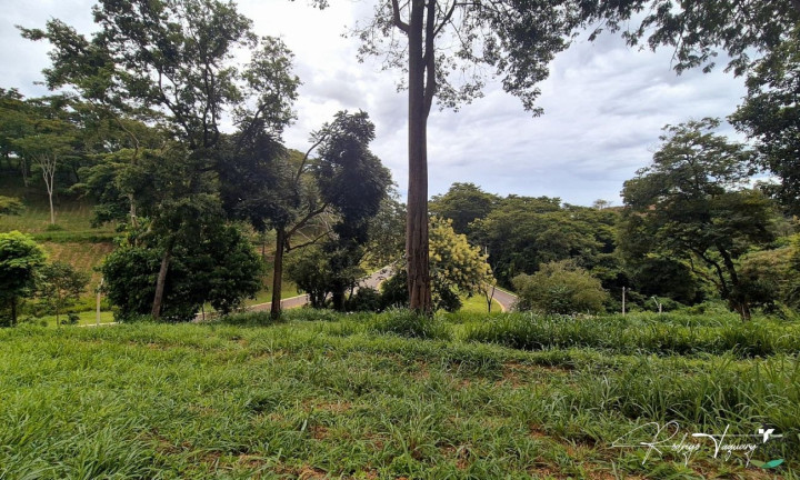 Imagem Terreno à Venda, 3.406 m² em Residencial Aldeia Do Vale - Goiânia Imagem Terreno à Venda, 3.406 m² em Residencial Aldeia Do Vale - Goiânia