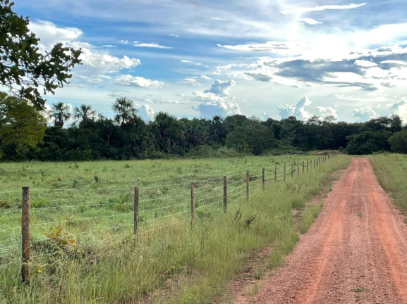 Imagem Fazenda à Venda, 500 m² em Zona Rural - Aliança Do Tocantins