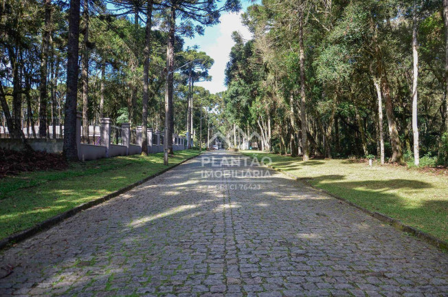 Imagem Casa com 2 Quartos à Venda, 84 m² em Jardim Veneza - Piraquara Imagem Casa com 2 Quartos à Venda, 84 m² em Jardim Veneza - Piraquara