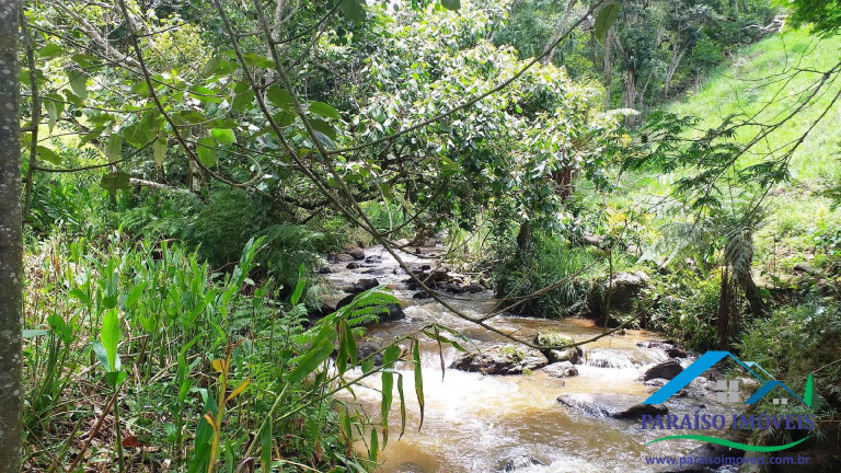 Imagem Chácara à Venda, 7 m² em Centro - Paraisópolis Imagem Chácara à Venda, 7 m² em Centro - Paraisópolis