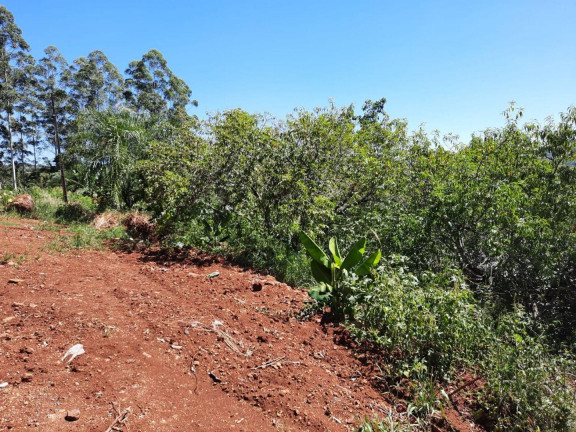 Imagem Imóvel à Venda, 1.200 m² em Interior - Concórdia Imagem Imóvel à Venda, 1.200 m² em Interior - Concórdia