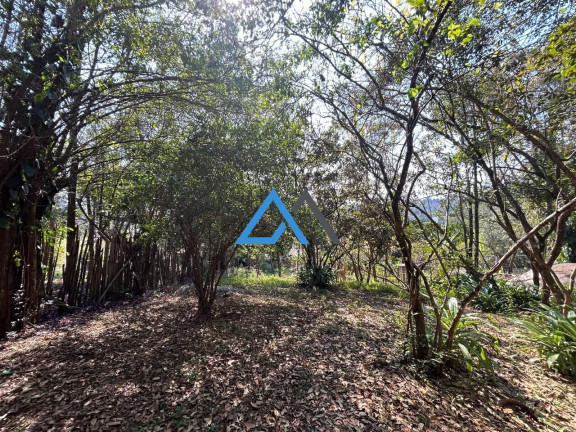 Imagem Imóvel com 3 Quartos à Venda, 3.000 m² em Laranjeiras - Caieiras