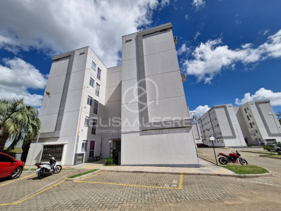 Imagem Apartamento com 2 Quartos à Venda, 40 m² em Camboim - Sapucaia Do Sul