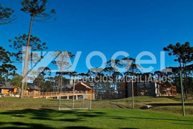 Imagem Casa com 3 Quartos à Venda, 832 m² em Bairro Não Informado - Gramado Imagem Casa com 3 Quartos à Venda, 832 m² em Bairro Não Informado - Gramado