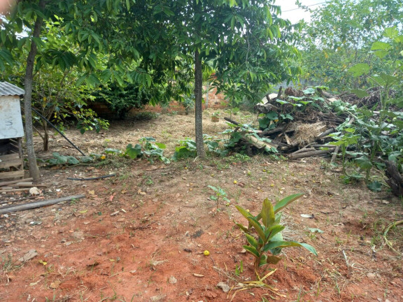 Imagem Chácara com 2 Quartos à Venda,  em George Oeterer - Iperó
