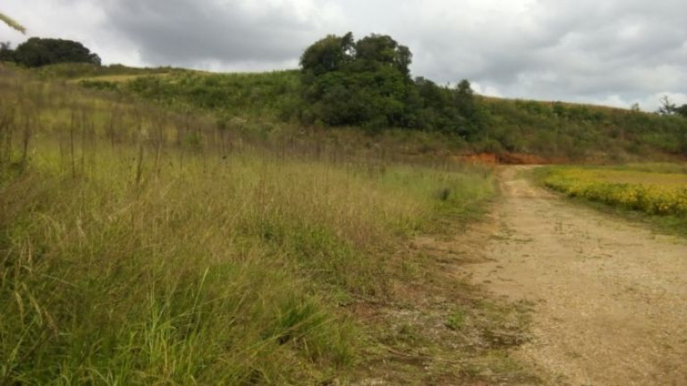 Imagem Terreno à Venda, 37.458 m² em Campo Magro - Campo Magro Imagem Terreno à Venda, 37.458 m² em Campo Magro - Campo Magro