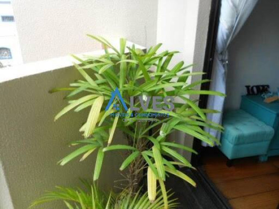 Imagem Apartamento com 3 Quartos à Venda, em Vila Baeta Neves - São Bernardo Do Campo Imagem Apartamento com 3 Quartos à Venda, em Vila Baeta Neves - São Bernardo Do Campo