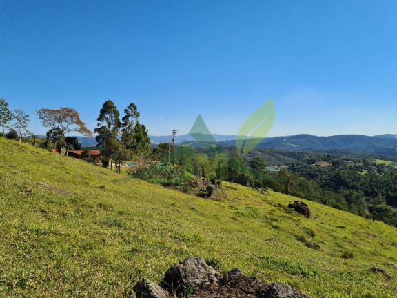Imagem Chácara com 4 Quartos à Venda, 532.400 m² em Santa Luzia - Nazaré Paulista Imagem Chácara com 4 Quartos à Venda, 532.400 m² em Santa Luzia - Nazaré Paulista