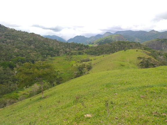 Imagem Fazenda à Venda, 9.790.000 m² em Centro - Trajano De Morais