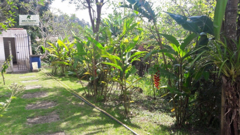 Imagem Chácara com 3 Quartos à Venda, 18.000 m² em Mailasqui - São Roque Imagem Chácara com 3 Quartos à Venda, 18.000 m² em Mailasqui - São Roque